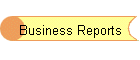 Business Reports