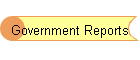 Government Reports